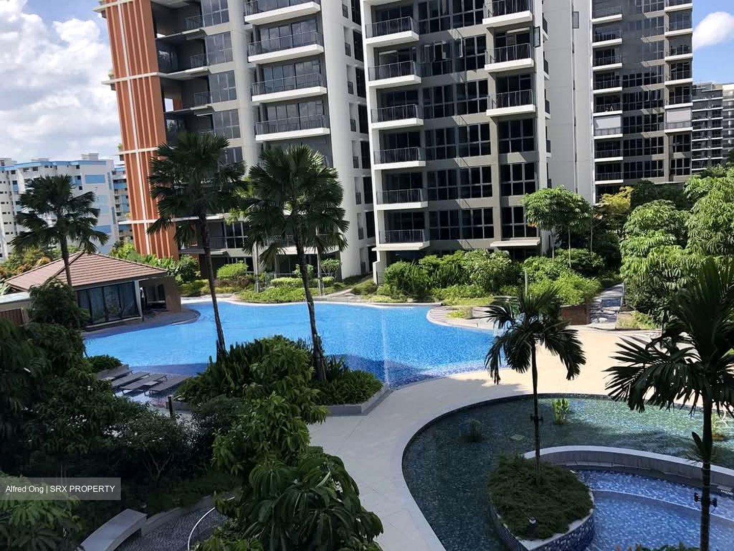 North Park Residences (D27), Apartment #561366551